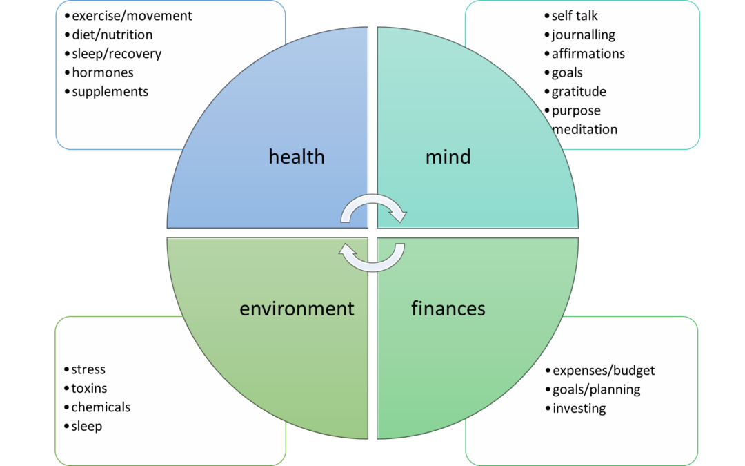 The four domains of a healthier life